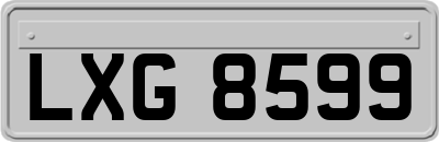 LXG8599
