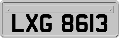 LXG8613