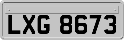 LXG8673
