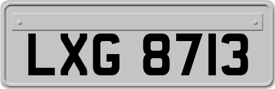 LXG8713
