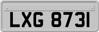 LXG8731
