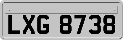 LXG8738