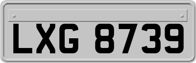 LXG8739