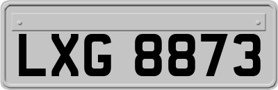 LXG8873