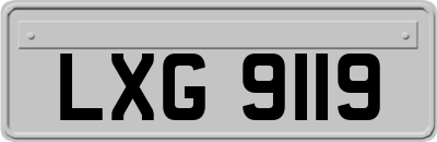 LXG9119