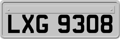 LXG9308