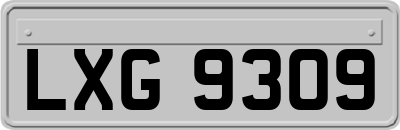 LXG9309