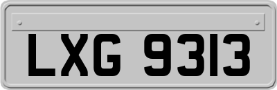 LXG9313