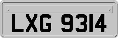 LXG9314