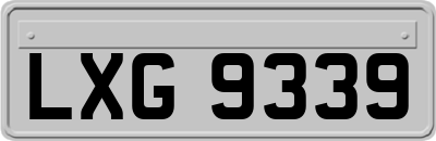 LXG9339
