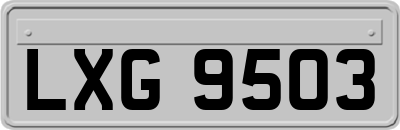 LXG9503