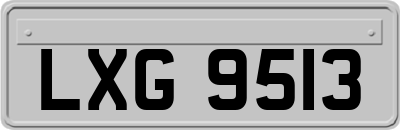 LXG9513
