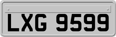 LXG9599