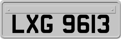 LXG9613