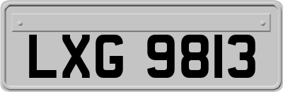 LXG9813
