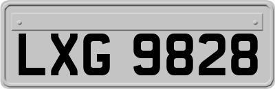LXG9828