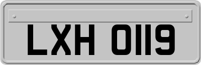 LXH0119