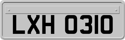 LXH0310