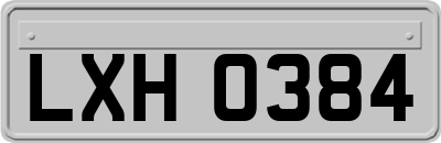LXH0384