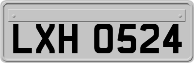 LXH0524
