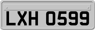 LXH0599
