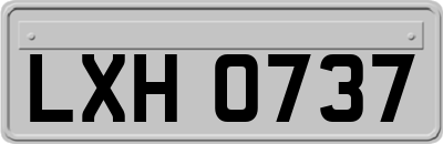 LXH0737