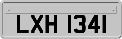 LXH1341