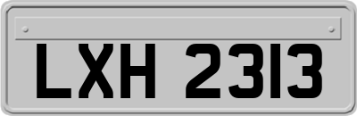 LXH2313