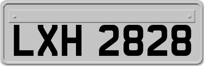 LXH2828