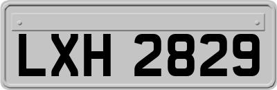 LXH2829