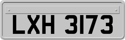 LXH3173