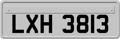 LXH3813