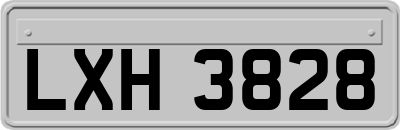 LXH3828