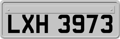 LXH3973