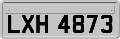 LXH4873