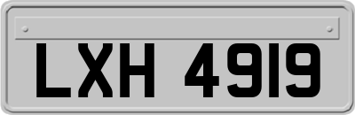 LXH4919