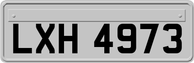 LXH4973