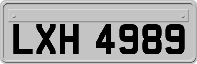 LXH4989