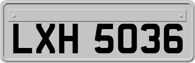 LXH5036