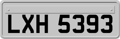 LXH5393