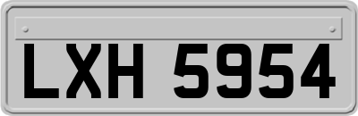 LXH5954