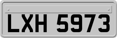LXH5973