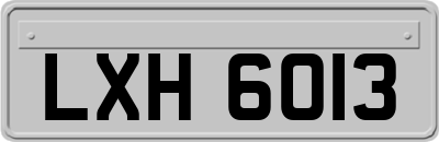 LXH6013