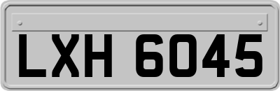 LXH6045