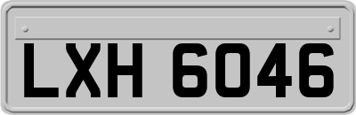 LXH6046
