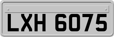 LXH6075