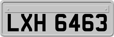 LXH6463