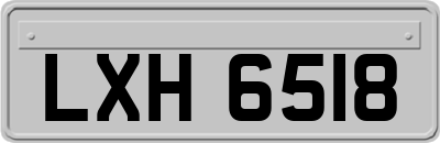 LXH6518