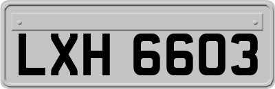 LXH6603