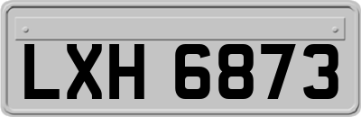 LXH6873